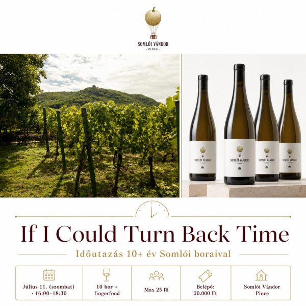 Borkóstoló belépőjegy- "If i could turn back time"